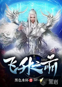 《飞升之前》小说封面