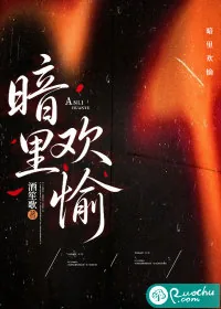 《暗里欢愉》小说封面
