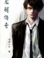 《龙婿传奇》小说封面