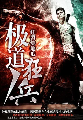 《极道狂兵》小说封面