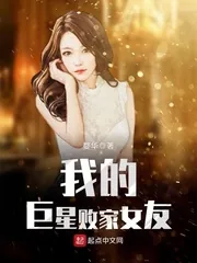 《我的巨星败家女友》小说封面