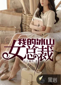 《我的冰山女总裁》小说封面