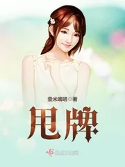 《甩牌》小说封面