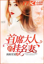 《首席大人的挂名妻》小说封面