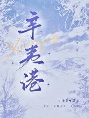 《辛夷港》小说封面