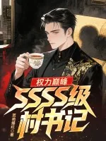 《权力巅峰：SSSS级村书记！》小说封面