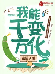 《我能千变万化》小说封面