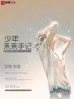 《少年未来手记》小说封面