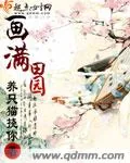 《画满田园》小说封面