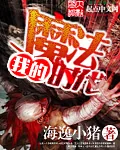 《我的魔法时代》小说封面