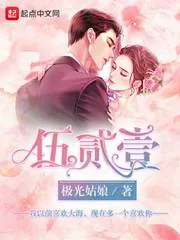 《伍贰壹》小说封面