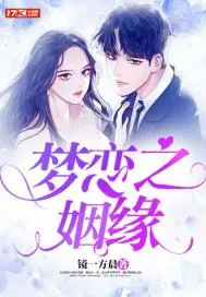 《梦恋之姻缘》小说封面