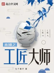 《直播之工匠大师》小说封面