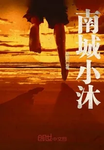 《南城小沐》小说封面