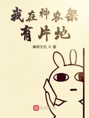 《我在神农架有片地》小说封面