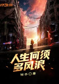 《人生何须多风浪》小说封面