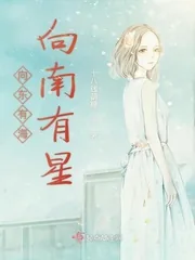《向东有海向南有星》小说封面