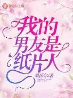 《我的男友是纸片人》小说封面