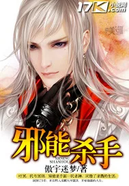 《邪能杀手》小说封面