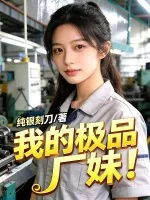 《我的极品厂妹》小说封面