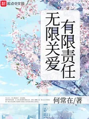 《无限关爱有限责任》小说封面