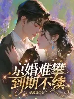 《京婚难攀，到期不续》小说封面