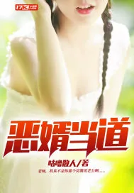 《恶婿当道》小说封面