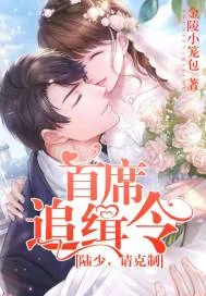 《首席追缉令：陆少，请克制》小说封面