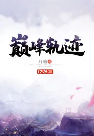 《巅峰轨迹》小说封面