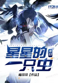 《来自星星的一只虫》小说封面