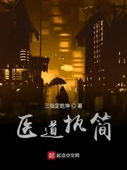《医道执简》小说封面