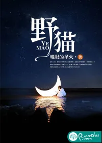 《野猫》小说封面