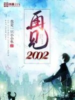 《再见2002》小说封面