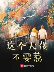 《这个大佬不要惹》小说封面