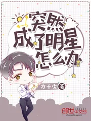 《突然成了明星怎么办》小说封面