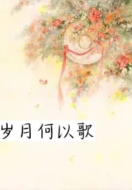 《岁月何以歌》小说封面