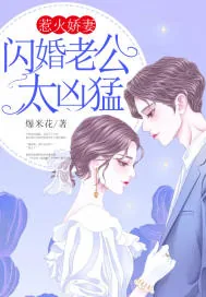 《惹火娇妻：闪婚老公太凶猛》小说封面