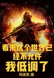 《看来这个世界已经不允许我低调了》小说封面
