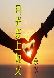 《月光爱上烛火》小说封面