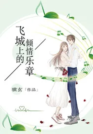 《飞城上的倾情乐章》小说封面