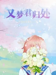 《又梦君归处》小说封面
