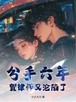 《分手六年,贺律师又沦陷了》小说封面