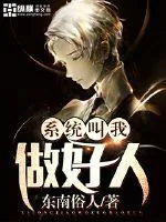 《系统叫我做好人》小说封面