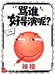 《骂谁好导演呢？》小说封面