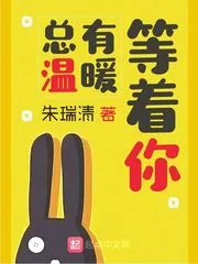 《总有温暖等着你》小说封面