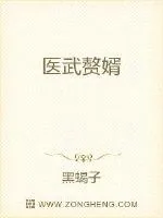 《医武赘婿》小说封面
