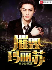 《摧毁玛丽苏》小说封面