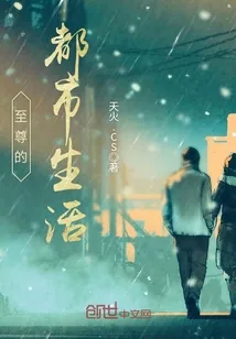 《至尊的都市生活》小说封面