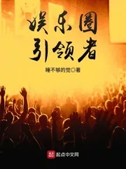 《娱乐圈引领者》小说封面