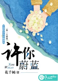 《许你蔚蓝》小说封面